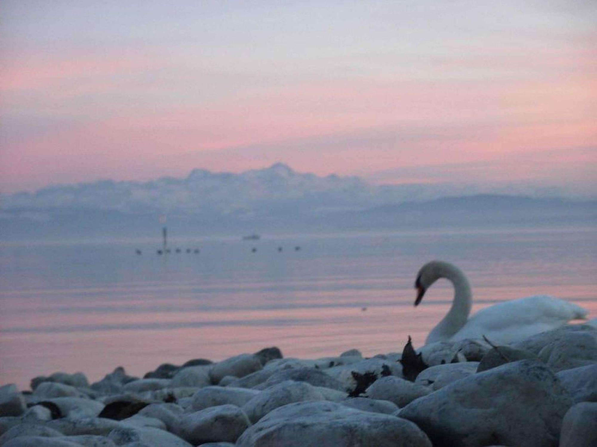 Haus Alpenblick Lejlighed Immenstaad am Bodensee Eksteriør billede